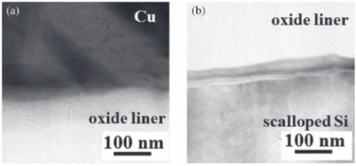 Fig. 3. XTEM images in the middle of the TSV at (a) the copper side and (b) silicon side.