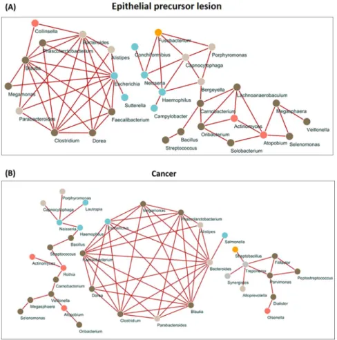 Figure 5.  Network analysis of salivary microbiota using SparCC correlation coefficients [Epithelial precursor  lesion (A) and Cancer groups (B)]
