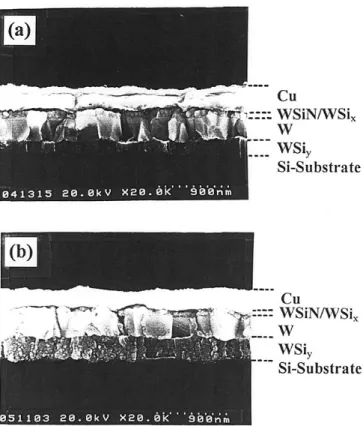 Figure 11 shows cross-sectional SEM micrographs for the ther- ther-mally annealed Cu/WSiN/WSi x /W(450 nm)/p 1 -n junction diodes