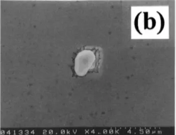 Fig. 11. SEM micrographs for the Cu/TaN(5 nm)/p-n diodes annealed at (a) and (b) 550°C, and (c) 600°C