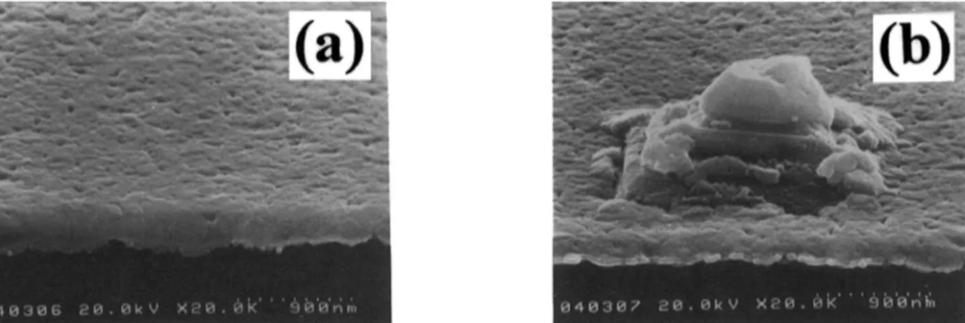 Fig. 12. SEM micro9raphs for the Cu/Ta(5 nm)/p-n diodes annealed at (a) 500 and (b) 550°C