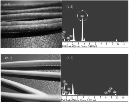 Figure 6. Element analysis of membrane surfaces under different MBRs operations. (a) internal membrane system: (a-1) SEM-EDS analysis and (a-2) membrane photo; (b) external membrane system: (b-1) SEM-EDS analysis and (b-2) membrane photo.