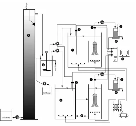 Figure 1. Schematic diagram of the experimental setup.