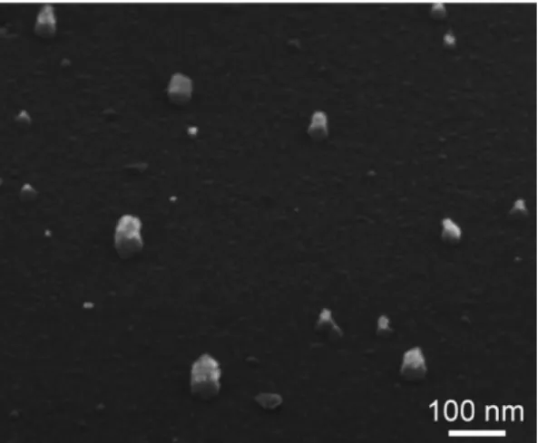 Fig. 1. SEM micrograph of Sample A synthesized at 100 V bias with 5% CH 4
