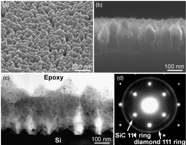 Fig. 3 (e). In particular, some cone-like particles are higher than the interface between SiO 2 and Si substrate, suggesting that Si cones grow with bias time