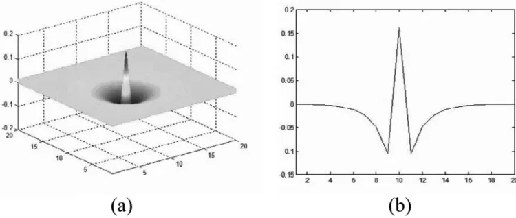 Fig. 6. Example of a center-on/surround-off RF, where,  = 0:53604,  = 0:5677, " = 0:01 and b = 0:75.