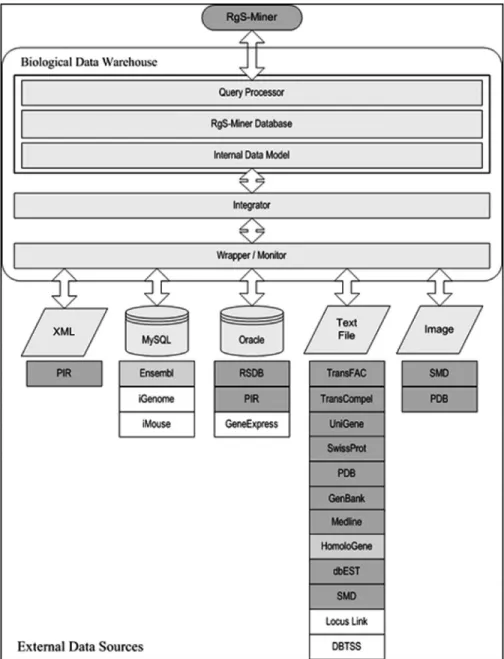 Fig. 1. Biological data warehouse overview. The data warehouse integrates multiple heterogeneous biological data sources from data types such as text-file, XML, image, MySQL database model and Oracle database model