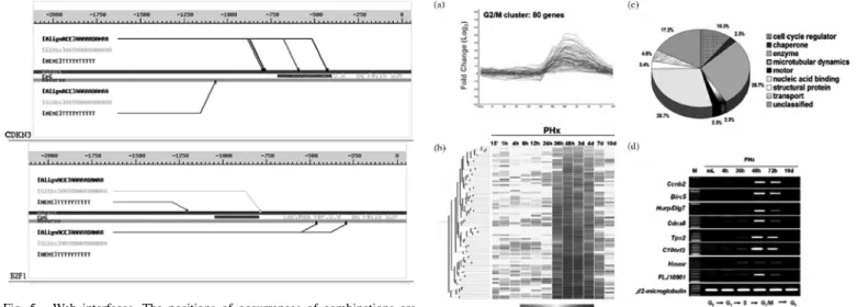 Fig. 5. Web interfaces. The positions of occurrences of combinations are depicted graphically on the output pages.
