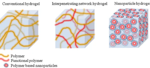 Fig. 4. Schematic drawing illustrating the simpliﬁed structures of conventional hydrogels, interpenetrating network hydrogels and polymer based nanopar- nanopar-ticle hydrogels.