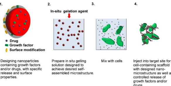 Fig. 5. Conceptual scheme illustrating the preparation of injectable nanoparticle based cell scaffolds having the controlled release of drugs and growth factors as well as a designed nano-microstructure.