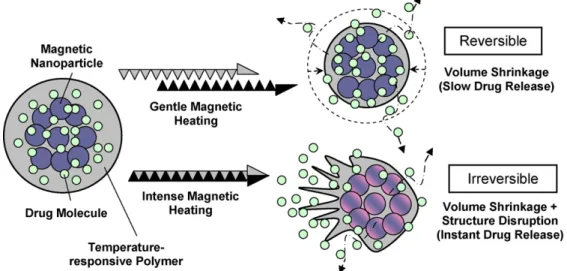 Figure 1 Two drug release mechanisms under magnetic heating. Gentle magnetic heating causes temperature-responsive polymer to shrink, squeezing drug out from the nanoparticle