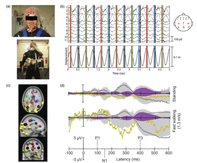 Fig. 2. (a) Photograph of a participant wearing a 256-channel EEG cap with motion capture emitters placed on the cap and along standard positions in a full-body motion capture suit; the same participant seen from behind wearing a backpack containing the EE