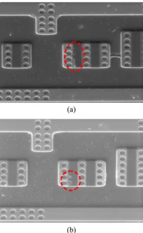 Fig. 3. (a) Circuit schematic diagram of the LV input pin of TCG0001. SEM photographs of the failed sites of PCB emulations (a) +800-V and (b) −600-V discharging.