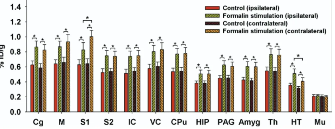 Fig. 3. Formalin-induced metabolic increases and cerebral laterality. Repeated-measures ANOVAs with Fisher’s post hoc tests indicated activations