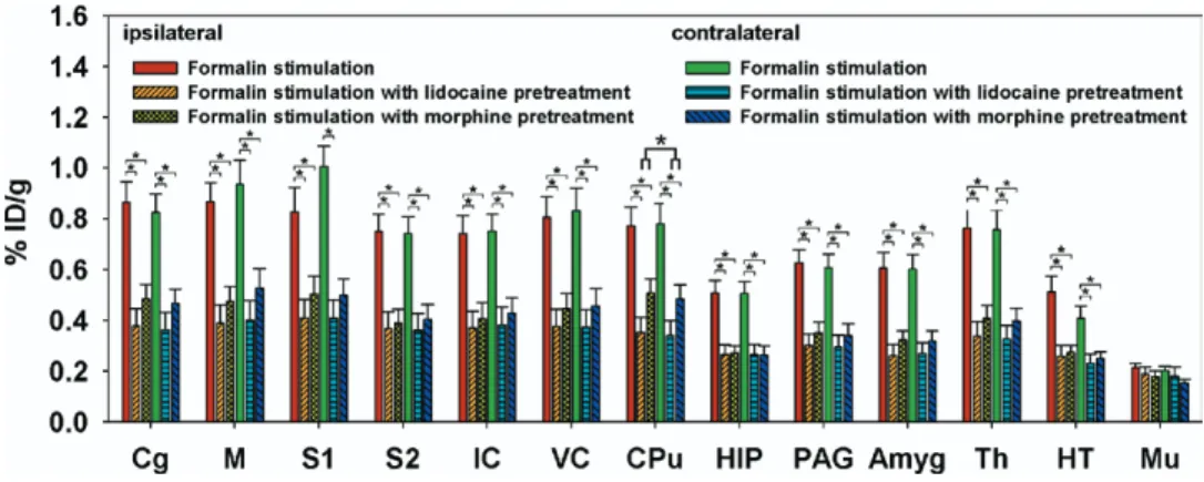 Fig. 4. Effects of lidocaine and morphine pretreatments on formalin-induced metabolic changes