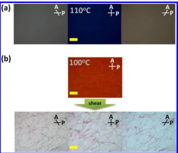 Figure 3. POM images of OXD5B7F* (scale bar = 40 μm).