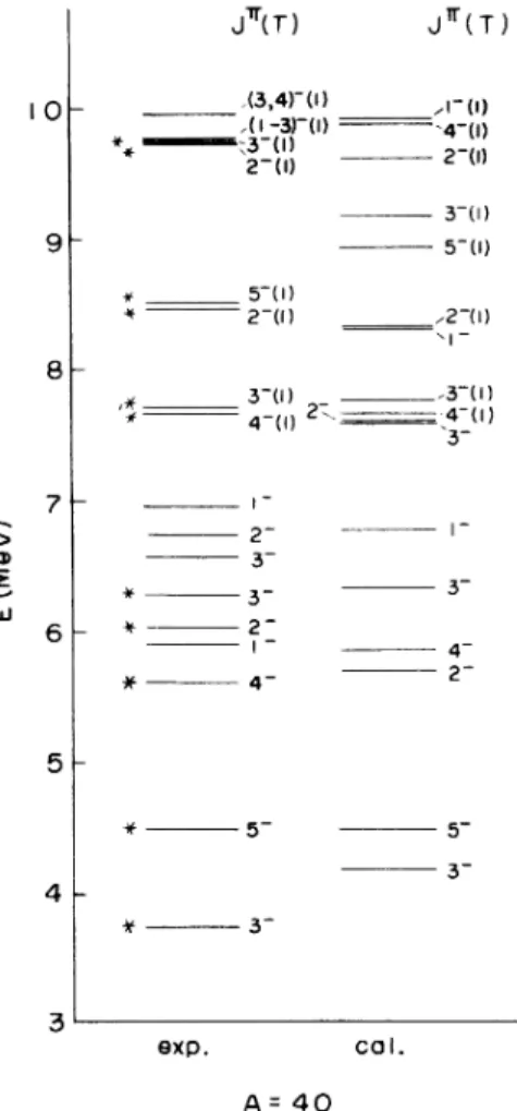 FIG. 1. Experimental and theoretical energy spectra for the 4=40 nuclei.