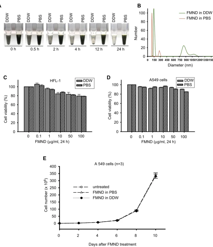 Fig. 1. Effect of cell viability and growth ability by treatment with FMND particles in human lung normal ﬁbroblast and lung cancer cells