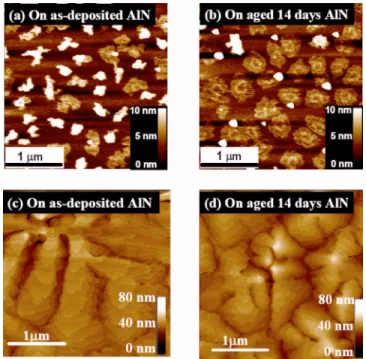 FIG. 5. 共Color online兲 The AFM images of pentacene on 共a兲 the as- as-deposited AlN and on 共b兲 the 14 day aged AlN in the initial deposition stage