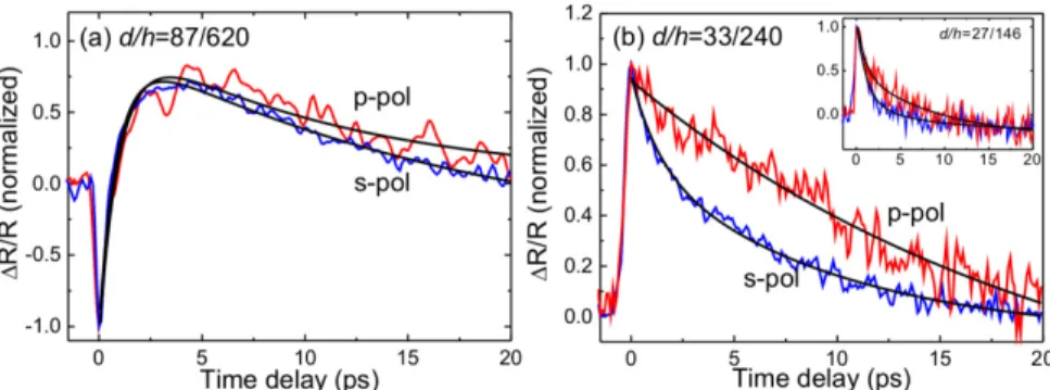 Fig.  5.  Polarization  dependence  of  differential  reflectivity  transient  of  (a)  sample  A  and  (b)  sample  B  measured  at  the  pump  fluence  of  2.2  mJ/cm 2 