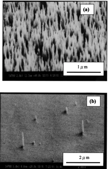 Fig. 1. The morphology of carbon deposited using different metal catalysts. (a) SEM image of CNTs that were grown on the 