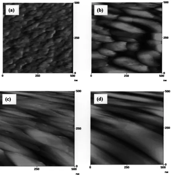 Fig. 2. AFM image with the H plasma pretreatment. 2 (a) Catalyst surface film before H plasma pretreatment of sample