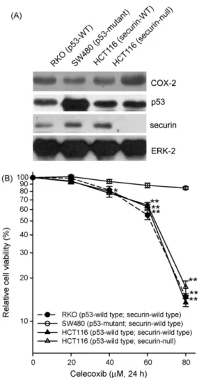 Fig. 1. The effect of celecoxib on the cell viability in a variety of human