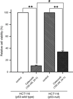 Fig. 3. The effect of celecoxib on the protein levels of total p53 and various