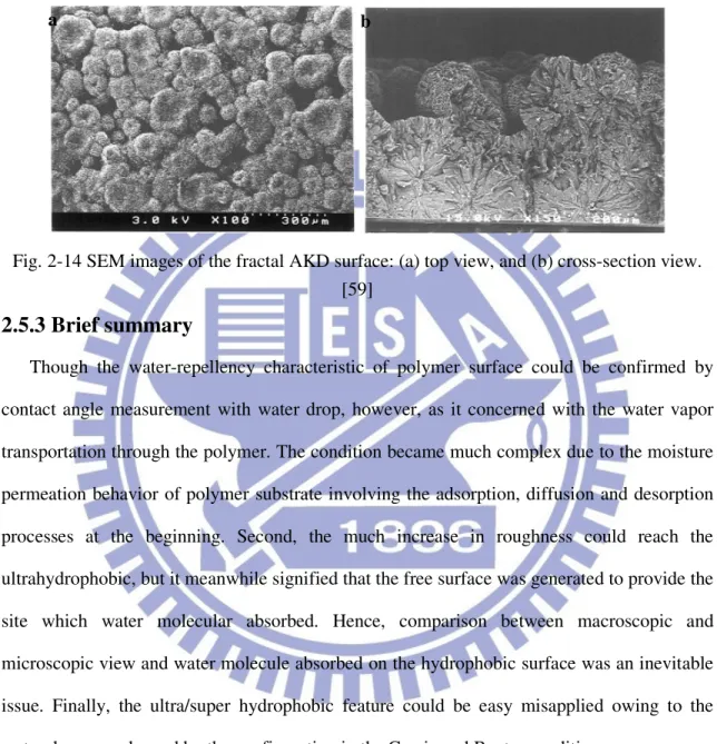 Fig. 2-14 SEM images of the fractal AKD surface: (a) top view, and (b) cross-section view