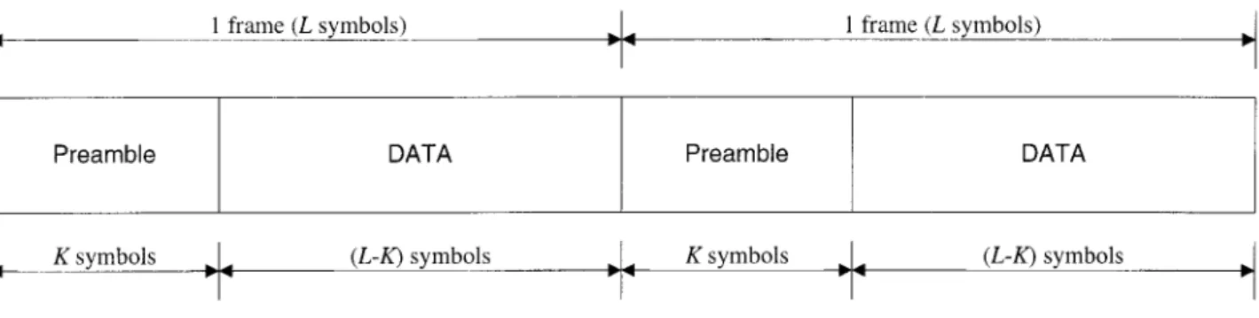 Fig. 1. Frame structure of preamble-assisted DAPSK transmission system.