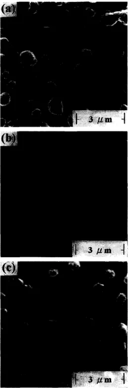 Figure  1  Scanning  electron  micrographs  showing  the  growth  of  electropolymerized PPV  on  ITO  glass after (a)  30 min,  (b) 60 min  and  (c) 90 min of the electropolymerization reaction 