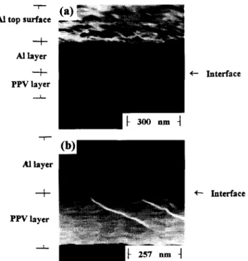 Figure  9  Scanning electron micrographs o f  the cross-section profile  o f   (a)  u n a n n e a l e d   and  (b)  annealed  A1/PPV/ITO  sandwich devices 