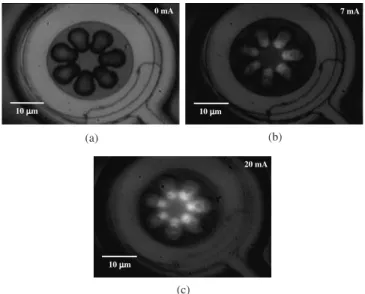 Fig. 4. Micrograph of the eight-leaf holey LED at 2 mA. The mesa of the device is 52 mm in diameter.