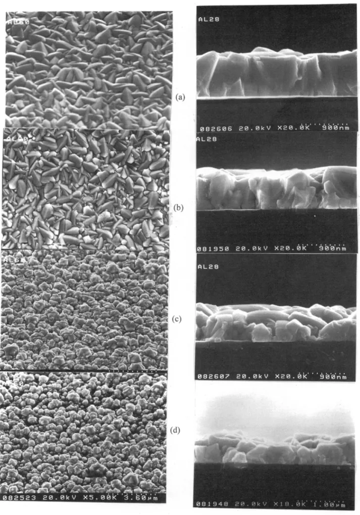 Fig. 4. The SEM micrographs of CVD-W films on aluminum with different precleanings. Figures (a) and (b) show the aluminum samples