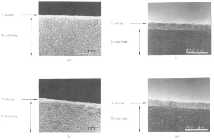Figure  3.  SEM  cross-section  micrographs  of  titanium  silicides  formed  by sintering  the  Si/Mo/Ti  trilayer 