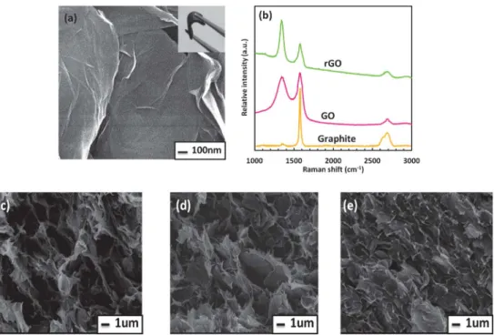 Fig. 2 (a) Scanning electron micrograph of the reduced GO, the inset demonstrates the highly flexible hydrogel