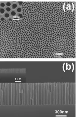 Figure 4 shows a typical morphology for the CNTs grown on the blank Si wafer at 500 ° C for 15 min