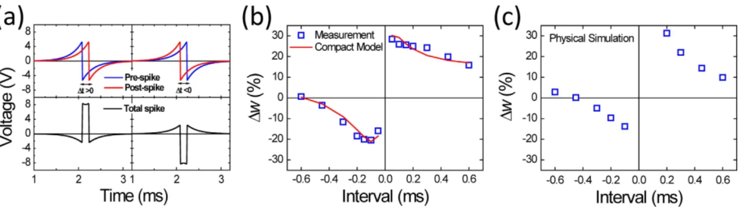Figure  4b,c show the measurement and simulation of the STDP synapse weight change  Δw, which is 