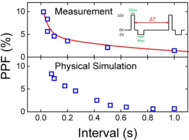 Figure 5.  Paired-pulse facilitation (PPF). The inset shows the waveform used for the PPF measurement  and simulation