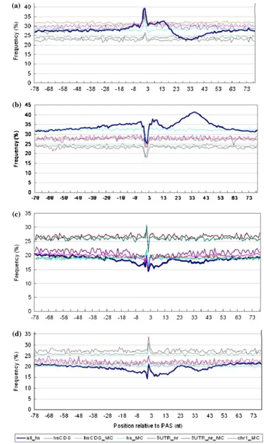 Fig. 2 a Adenine. b Uracil. c Cytosine. d Guanine frequencies at each position. In the vicinity of the poly(A) site (all_hs), CDS (hsCDS), randomized human CDS (hsCDS_MC), randomized poly(A) region (hs_MC), 5 0 -UTRs (5UTR_nr), randomized 5 0 -UTRs (5UTR_n