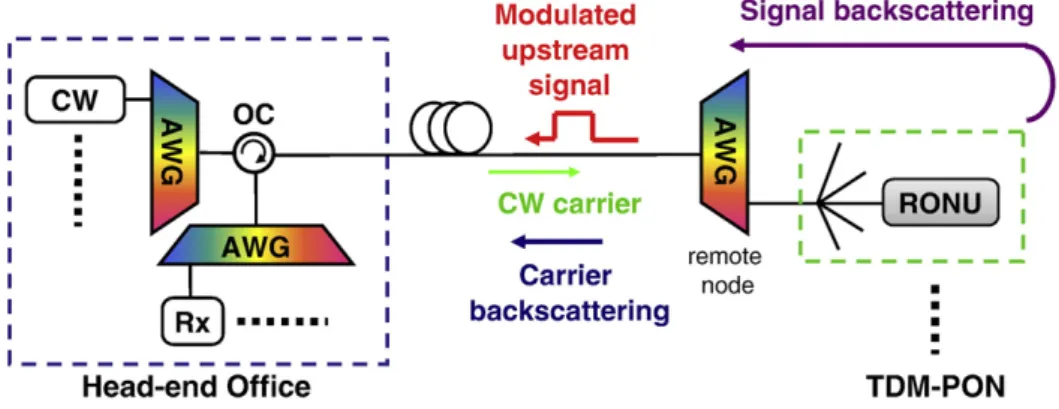 Fig. 1 shows a schematic diagram of a carrier distributed PON. The