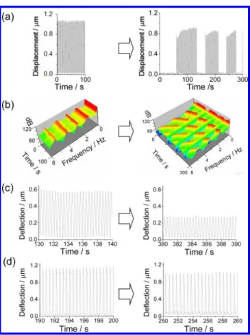 Figure 5. Deterioration of cardiomyocyte contraction with a cardiotoxic agent and its protection with an antioxidant