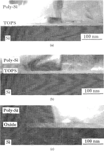 Fig.  1.  The  fabrication  procedures  of  TOPS. 