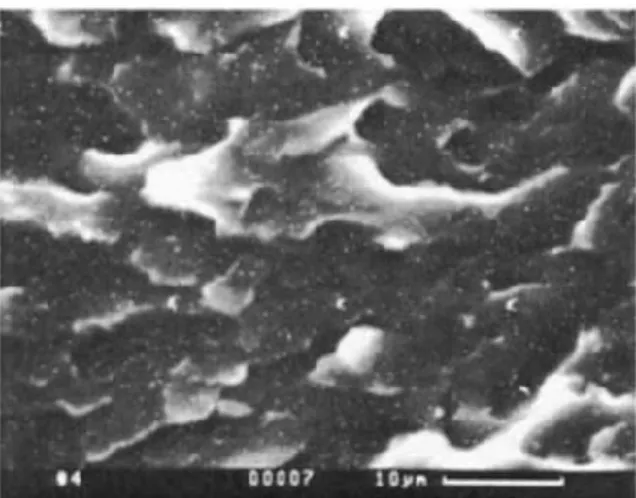 Fig.  7.  SEM/EDX  micrograph  of  thefracture  surface  of  the 