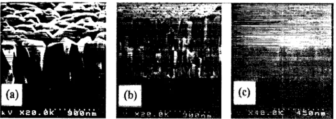 Fig.  3.  Scanning  electron  micrographs  showing  different  structures  of  blanket  tungsten  films  deposited  with  WF,/SiH,  flow  rates  of  (a)  20110  seem,  (b)  20/  30  and  (c)  2/30  seem,  respectively