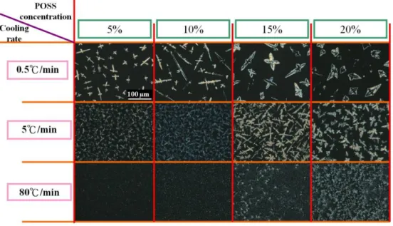 Fig. 3. The aggregation patterns of CLC cells doped with different POSS concentration (5 wt%,  10  wt%,  15  wt%,  20  wt%)  and  different  cooling  treatment  (0.5  °C/min,  5°C/min,  80°C/min)observed by a polarizing optical microscopy