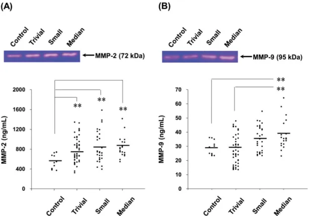 Figure 1. The circulating MMP-2 and MMP-9 activities in the patients with different levels of VSD severity