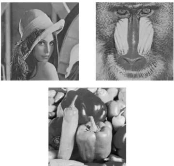Fig. 1. Noiseless 256 2 256 test images of (a) “Lena,” (b) “Baboon,” and (c) “Peppers.”