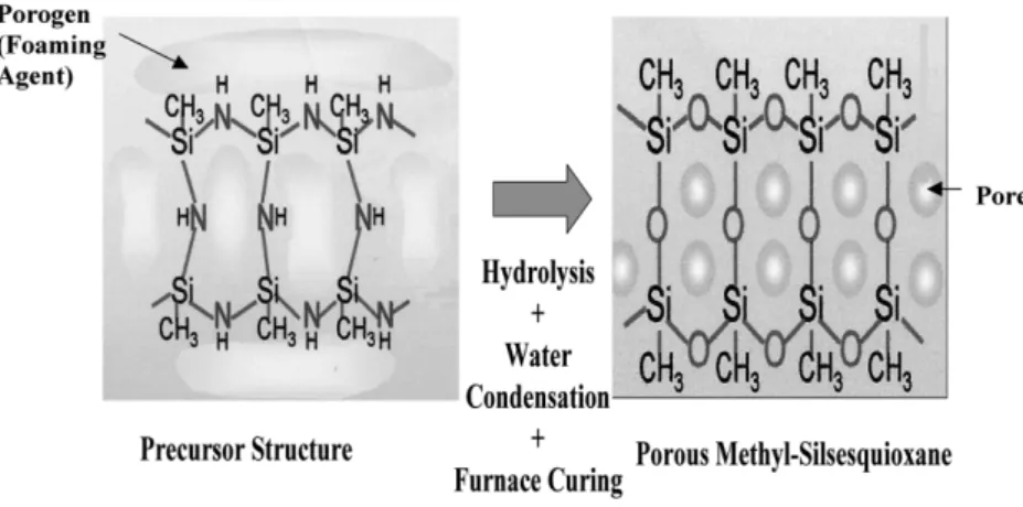 Fig. 2. Method of precursor structure transfer to final porous-polysilazane (PPSZ) structure.(100) orientation