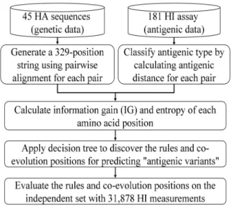 Figure 1 shows the overview of our method for predicting the antigenic variants of human influenza A/H3N2 virus by identifying antigenic critical positions, rules and their co-evolution on the HA.